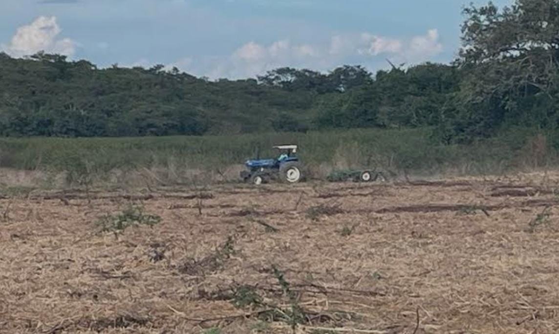 Preparan agricultores sus tierras para la siembra de hortalizas en Mazatlán