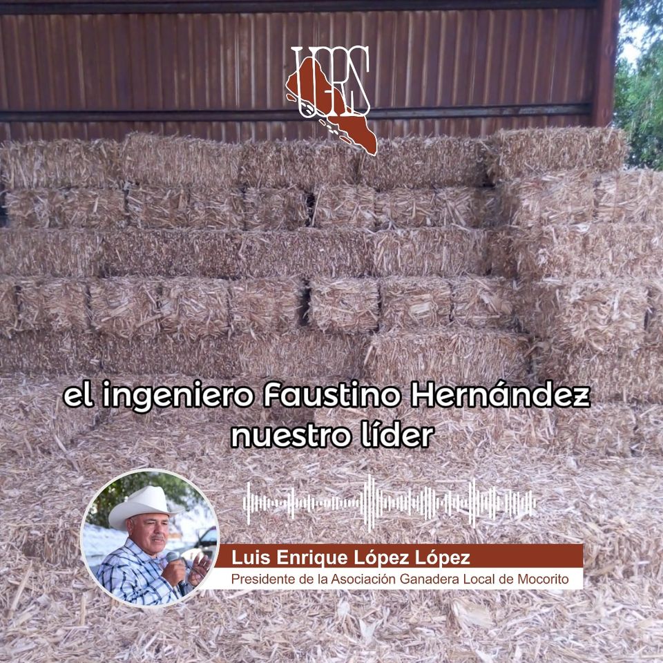 Testimonio de Luis Enrique López López, Presidente de la Asociación Ganadera Lo