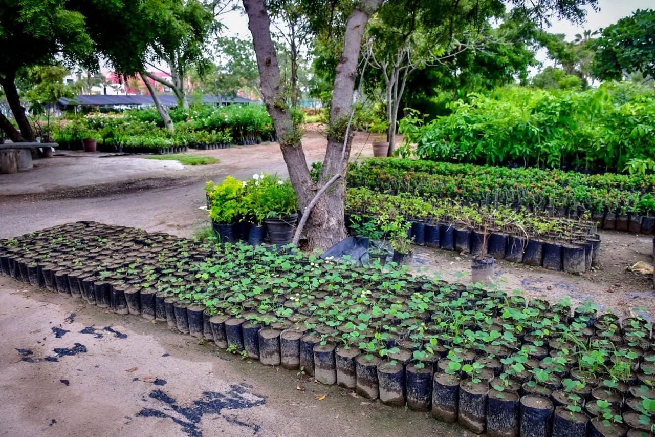 *Vivero municipal tiene más de 130 variedades entre árboles, arbustos y flores.* *Vivero municipal tiene más de 130 variedades entre árboles, arbustos y flores.*