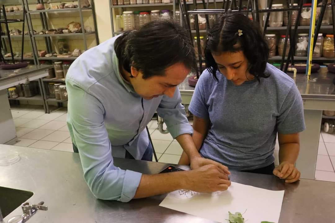 #uas julio 18,2024 El Programa de Conservación de la Mariposa Cuatro Espejos, proyecto de éxito gracias a investigadores… #uas julio 18,2024 El Programa de Conservación de la Mariposa Cuatro Espejos, proyecto de éxito gracias a investigadores…
