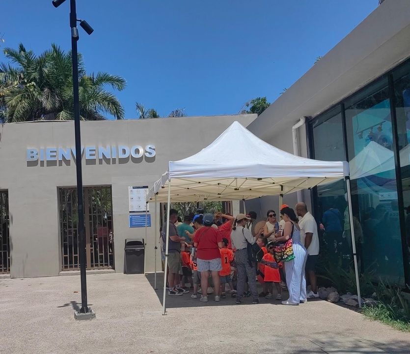 Gran Acuario Mazatlán recibe hasta 6 mil visitantes por dia