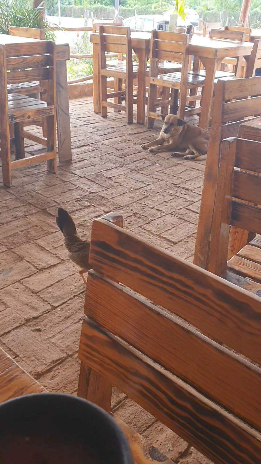 EN "LA CURVA", RESTAURANT A LA ENTRADA DE MAZATLÁN POR LA AV EN "LA CURVA", RESTAURANT A LA ENTRADA DE MAZATLÁN POR LA AV