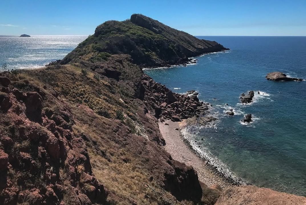 Photos from FG Noticias's post Photos from FG Noticias's post