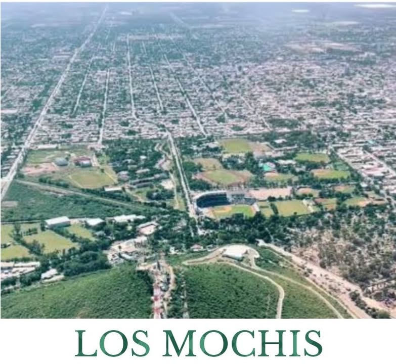 DECLARACIÓN DE AMOR POR LOS MOCHIS