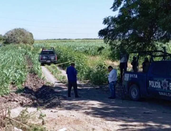 #Navolato #Violencia