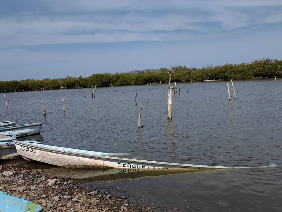 Pescadores ribereños del sur de Sinaloa afectados también por la sequía Pescadores ribereños del sur de Sinaloa afectados también por la sequía