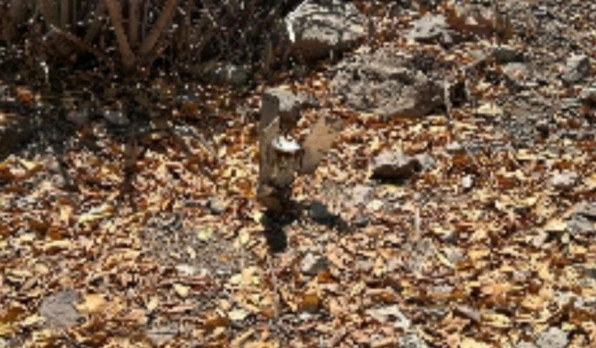 Militares localizan y destruyen un artefacto explosivo en Elota