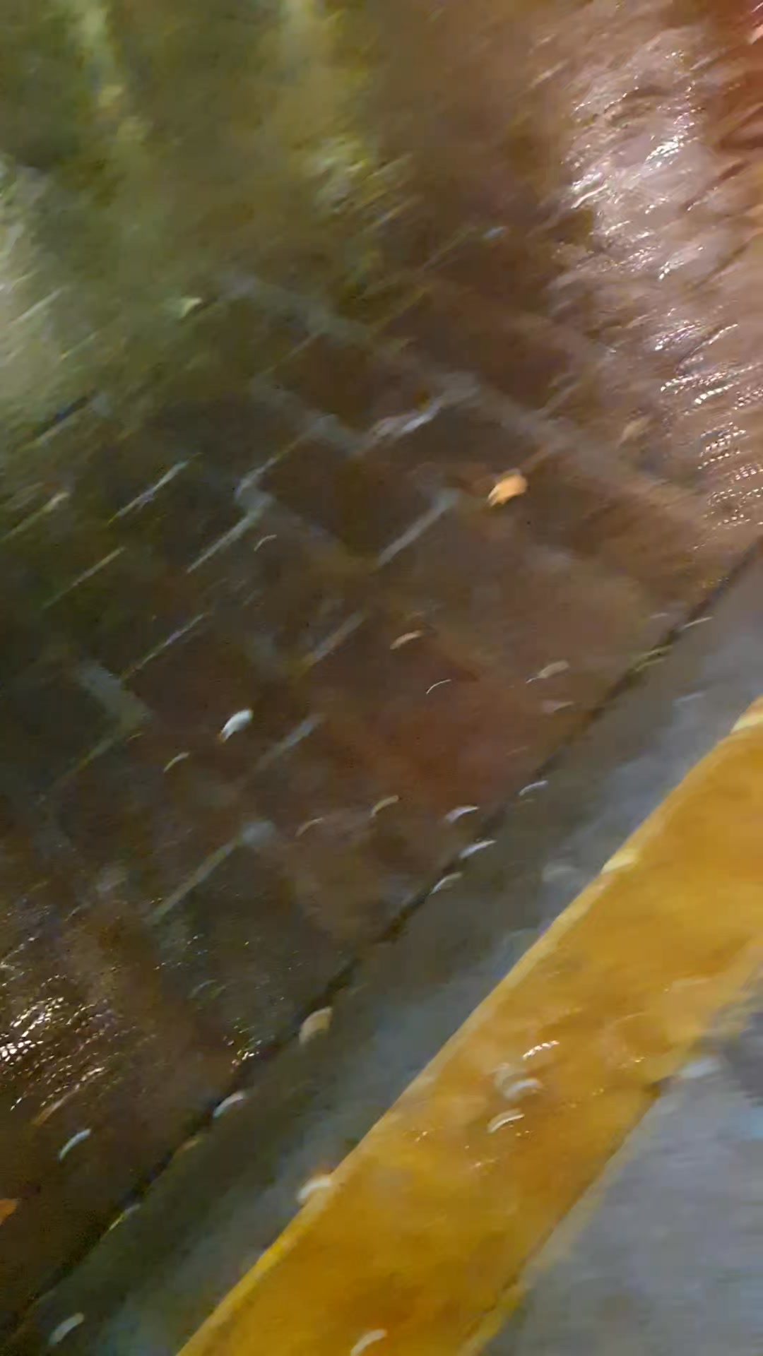 Ahora fue en el centro de la ciudad de Mazatlán que llovió en las primeras hora del domingo Ahora fue en el centro de la ciudad de Mazatlán que llovió en las primeras hora del domingo