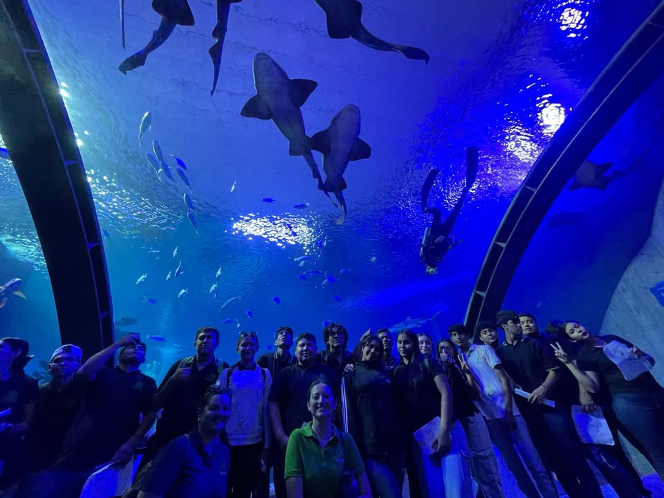 Gran Acuario Mazatlán  un aula viva para el aprendizaje