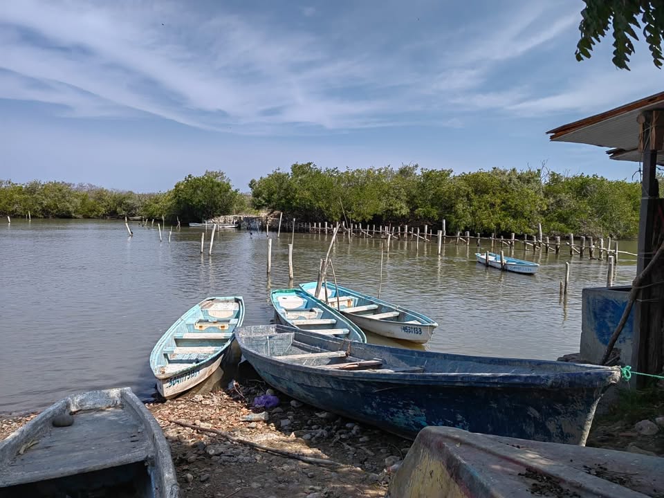 Pescadores pudieran autovedarse en el Huizache, proponen empezar hasta el 29 de octubre Pescadores pudieran autovedarse en el Huizache, proponen empezar hasta el 29 de octubre