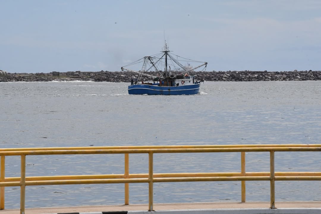 Reportan capturas regulares en los primeros    en las primeras horas de pesca en altamar