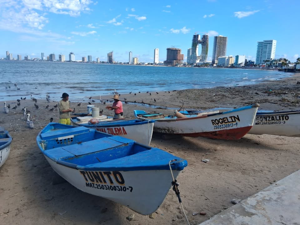 Pescadores de Playa Norte registran capturas de 3 kilos al día Pescadores de Playa Norte registran capturas de 3 kilos al día