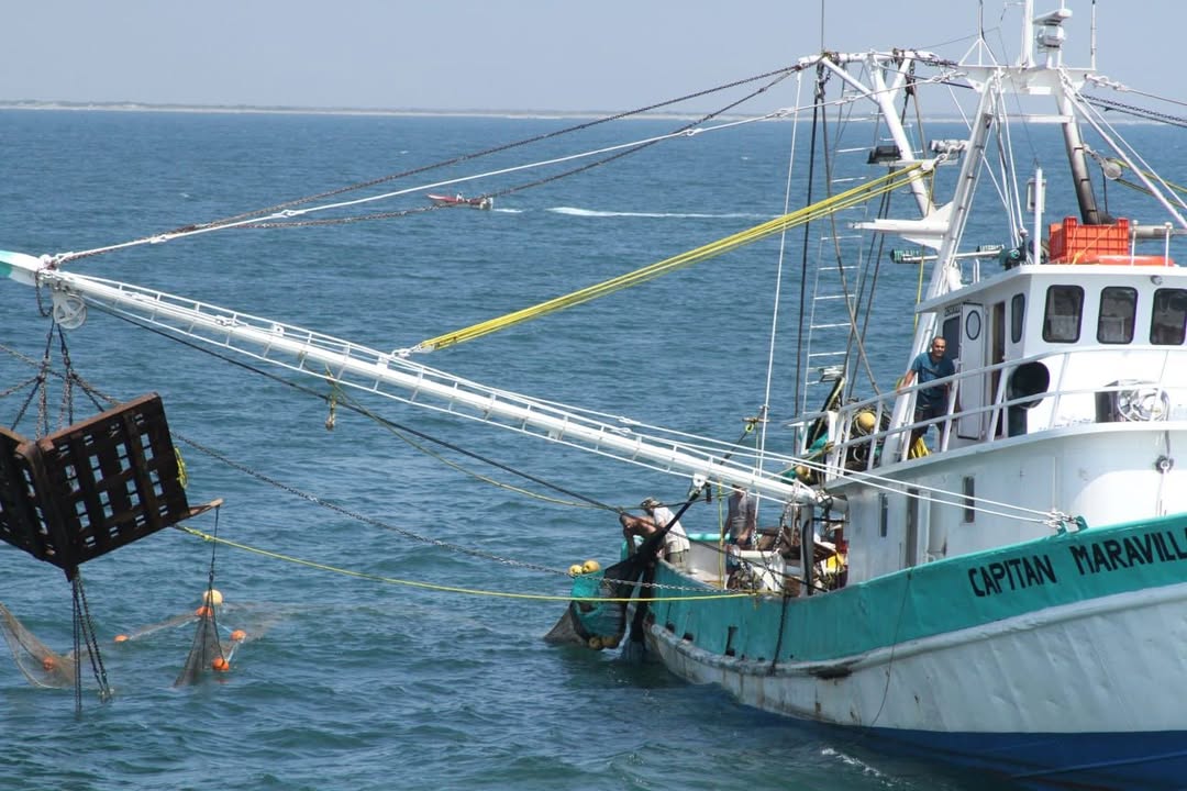 Conapesca cierra 2025 con resultados positivos en pesca sostenible