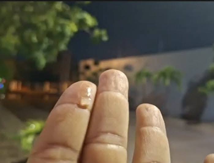 Photos from FG Noticias's post Photos from FG Noticias's post