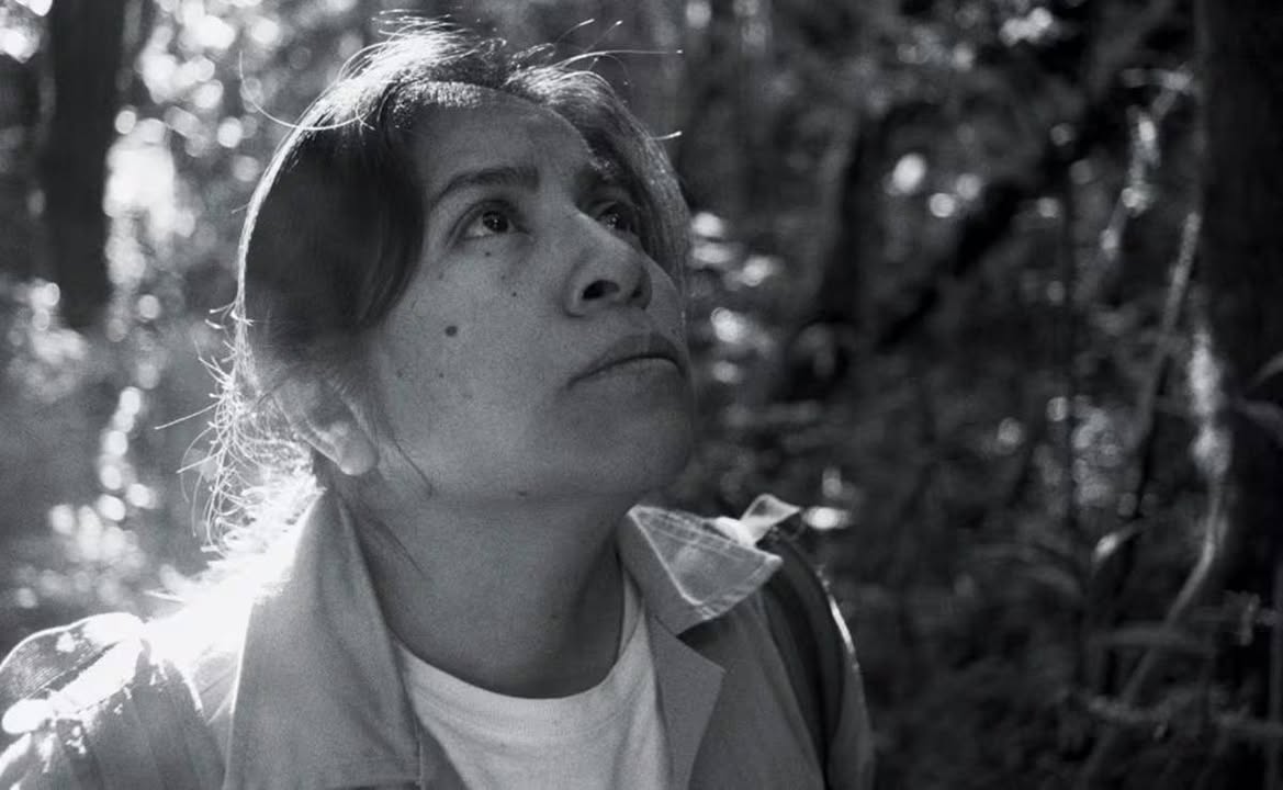 Photos from FG Noticias's post