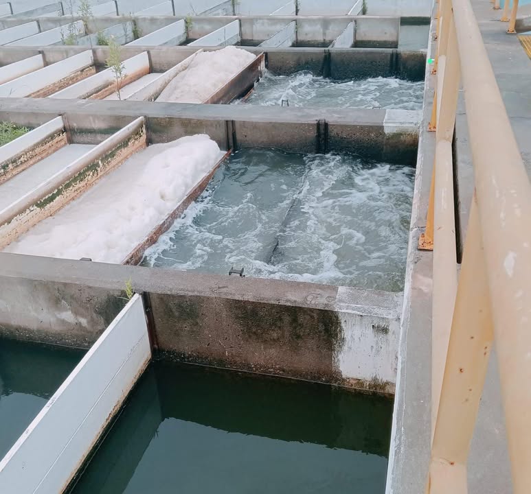 *Motor en la Potabilizadora Los Horcones sufre daño por descarga eléctrica*