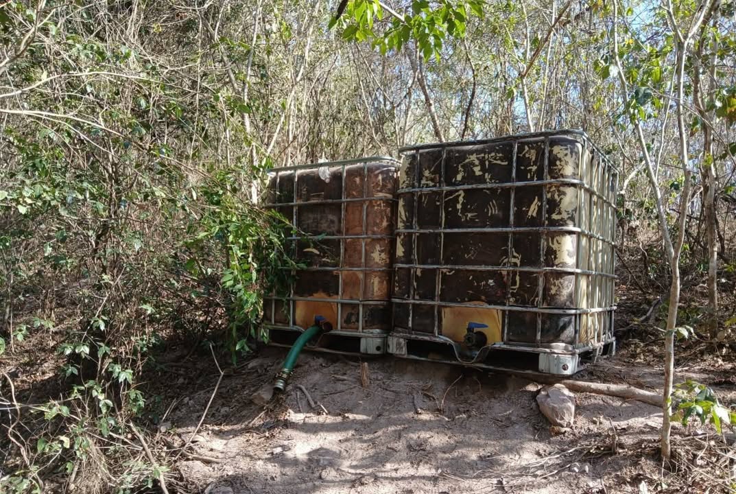 Photos from FG Noticias's post